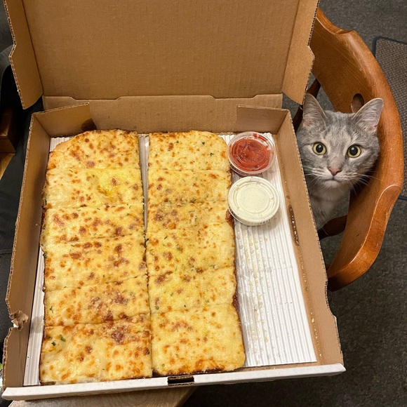 Mitchel Schrader -  Sagittarius - Collector - Picture 9 of 10